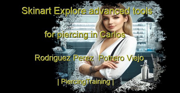 Skinart Explore advanced tools for piercing in Carlos Rodriguez Perez  Potrero Viejo | PiercingTraining | PiercingClasses | SkinartTraining-Mexico